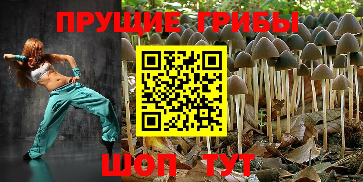 Уссурийск  Галлюциногенные грибы прущие грибы  Псилоцибиновые грибы Cubensis  Вход с VPN 