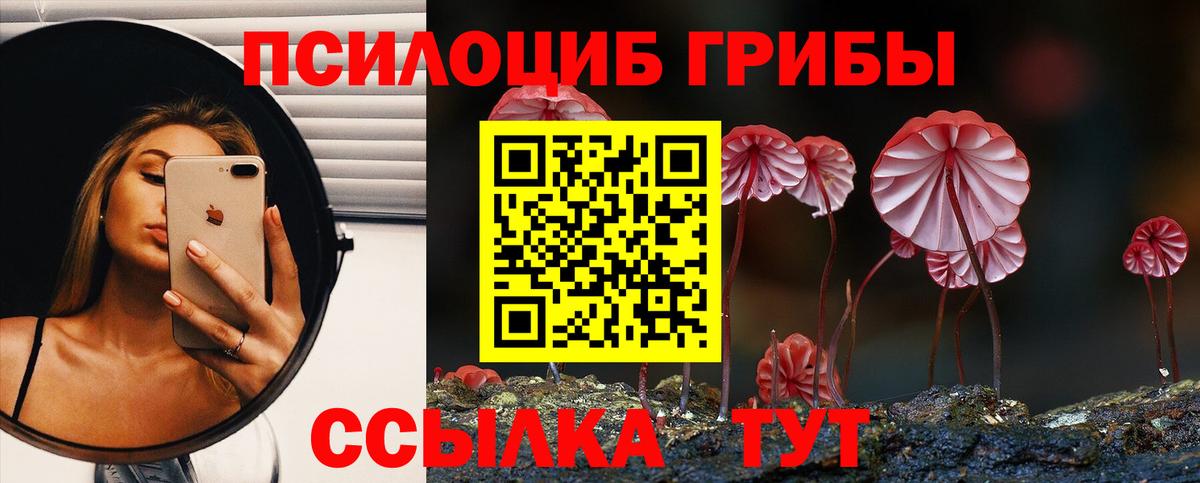 Псилоцибиновые грибы Psilocybine cubensis Уссурийск